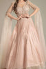 Baby Pink Flared Sleeves Net Gown