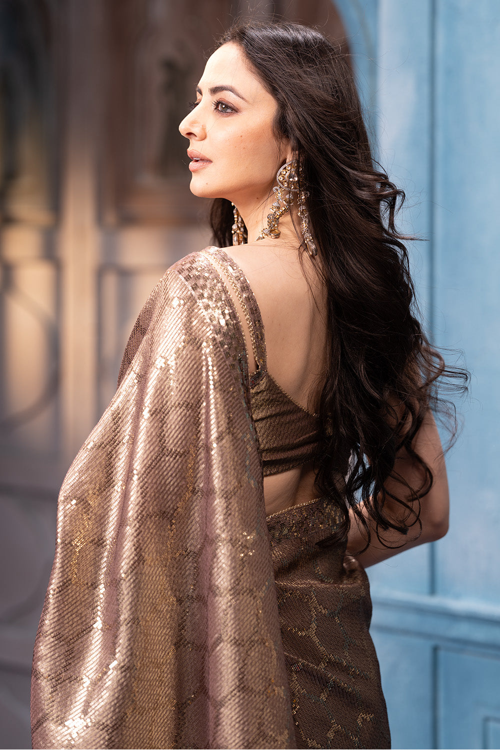 Brown Pure Metallic Tissue Sequins Embroidered Saree