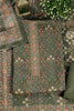 Green Digital Printed Pashmina Unstitched Suit Fabric