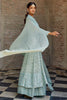 Mint Green Color Georgette Embroidered Suit with Skirt