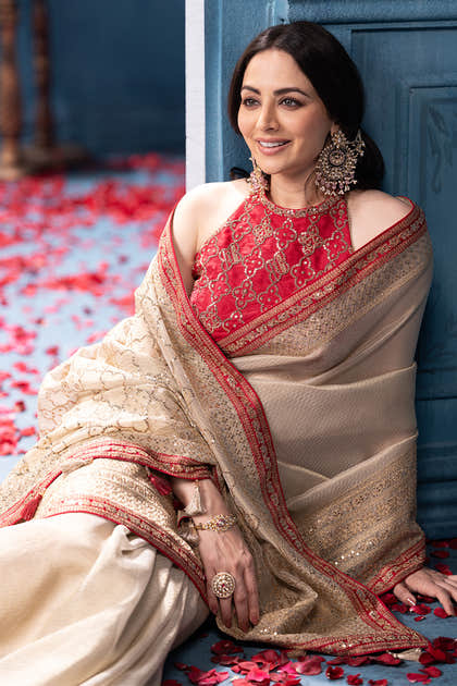 Beige Pure Metallic Tissue Sequins And Zari Embroidered Saree