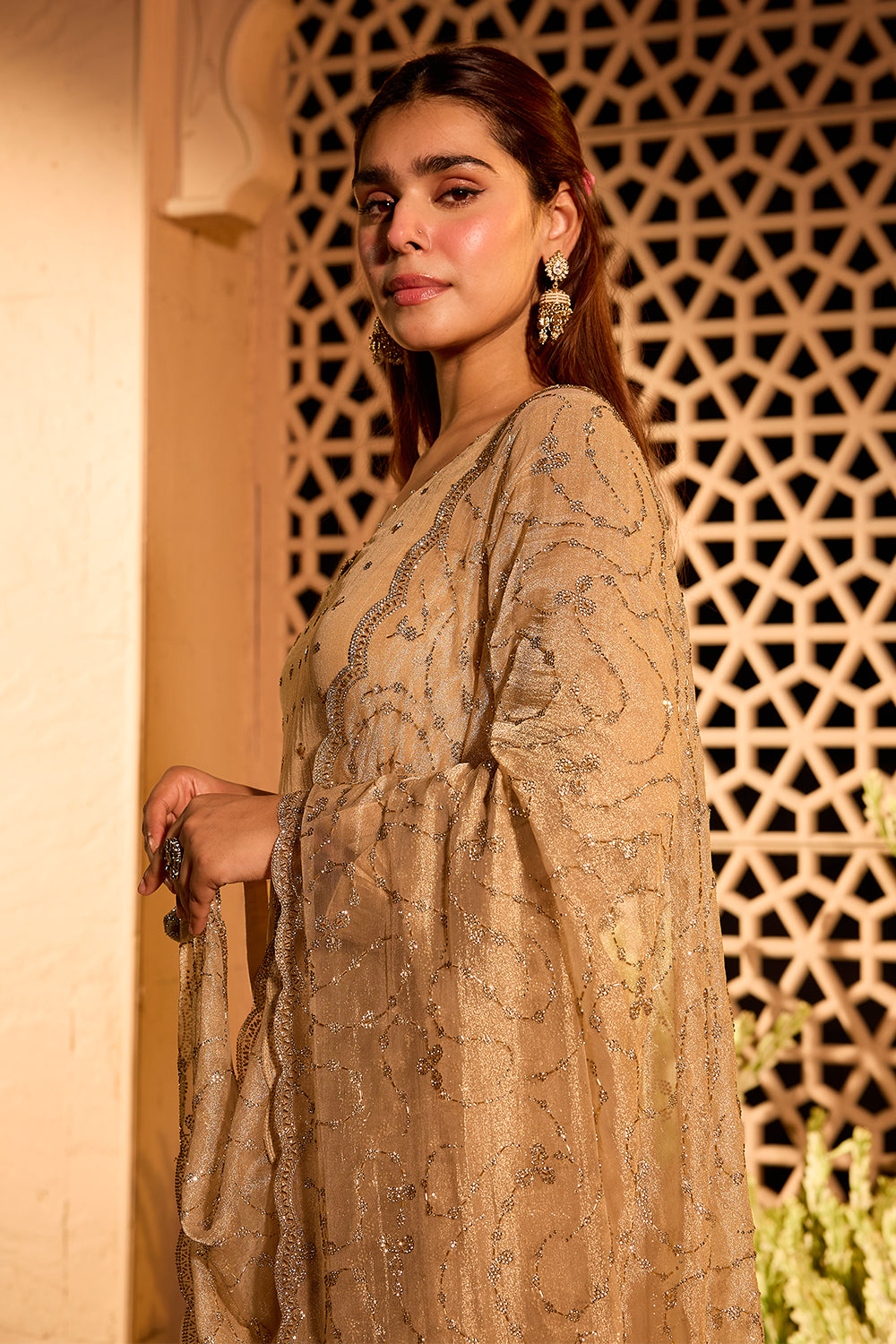 Beige Tissue Cut-Dana & Swaroski Work Unstitched Suit Material