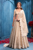 Cream Matelic Tissue Embroidered Lehanga
