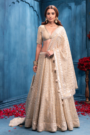 Cream Matelic Tissue Embroidered Lehanga