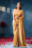 Goldern Sequins and Resham Embroidered Matelic Tissue Saree