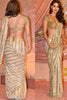 Fawn Color Sequins Embroidered Georgette Saree