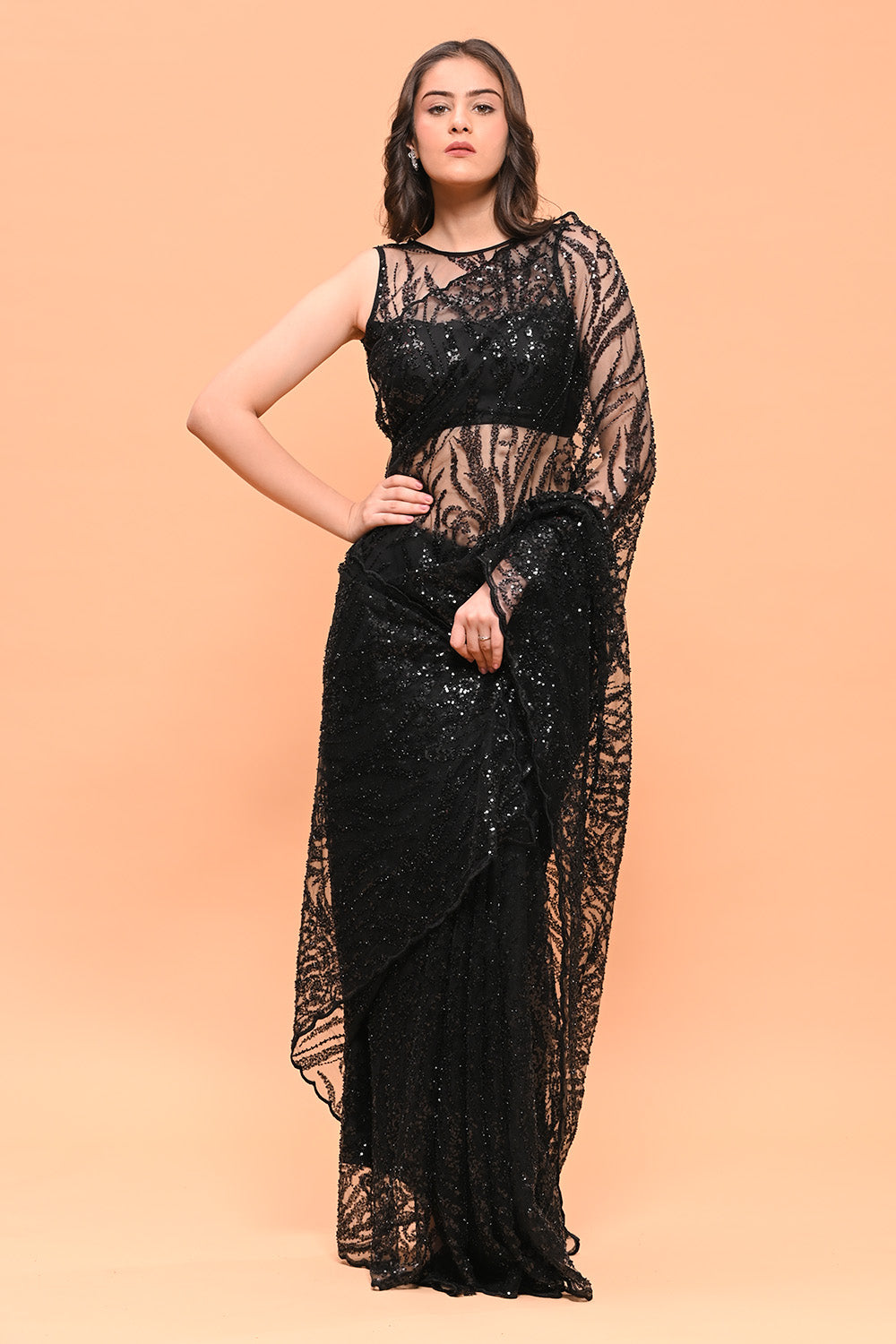 Black Color  Net Sequins and Cut-Dana Embroidered Saree