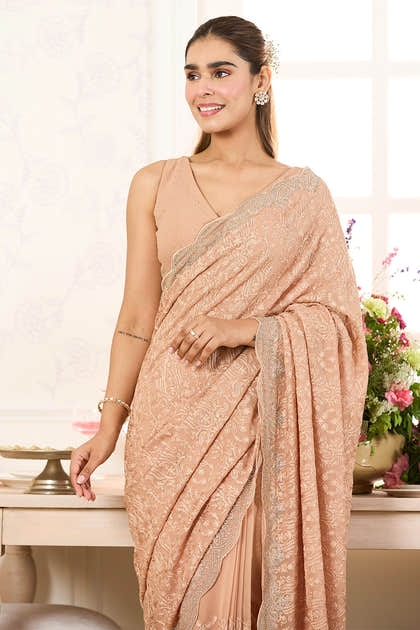 Fawn Georgette Embroidered And Swaroski Work Saree