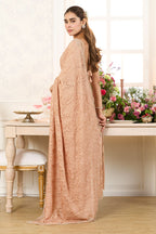 Fawn Georgette Embroidered And Swaroski Work Saree