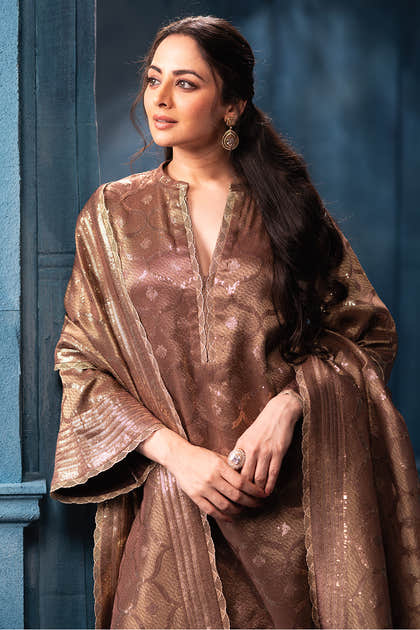 Brown Pure Metallic Tissue Sequins Embroidered Suit