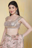 Dusty Pink Sequins Embroidered Georgette Saree