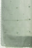Ombre Sage Green Organza Saree With Mirror Work