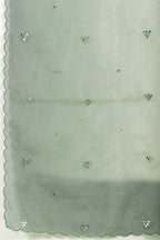 Ombre Sage Green Organza Saree With Mirror Work