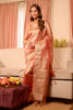 Rust Tissue Mirror Work Saree