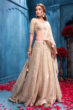 Cream Matelic Tissue Embroidered Lehanga