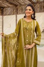 Green Cotton Printed Suit with Palazzo