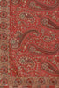 Rust Color Embroidered Saree