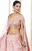 Rose Pink Silk Lehenga.